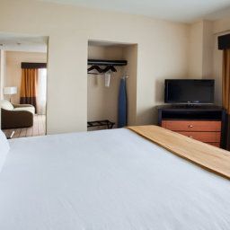 Suite Holiday Inn Express Hotel & Suites ATLANTA DOWNTOWN Fotos