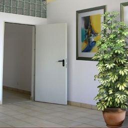  Ami Fotos
