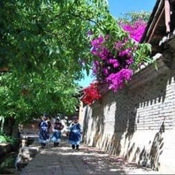 Vista esterna Sichun Inn Villa - Lijiang Fotos