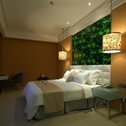  Triumphal Arch Business Hotel - Shenzhen Fotos