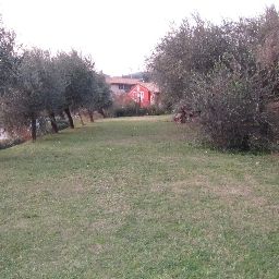 Jardín La Dolce Vita Fotos