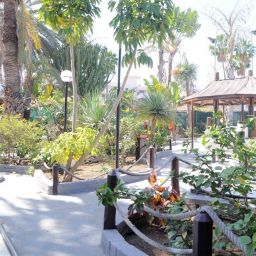 San Valentin & Terraflor Park Bungalows Playa del Inglés