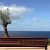 Golden Residence (Sea View Rooms)